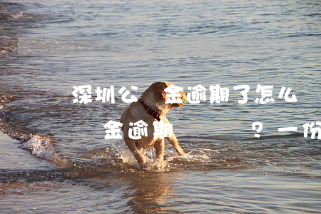 深圳公積金逾期了怎么辦理，如何處理深圳公積金逾期？一份全面的解決方案